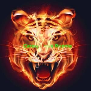 Meet your Posher, Carolyn